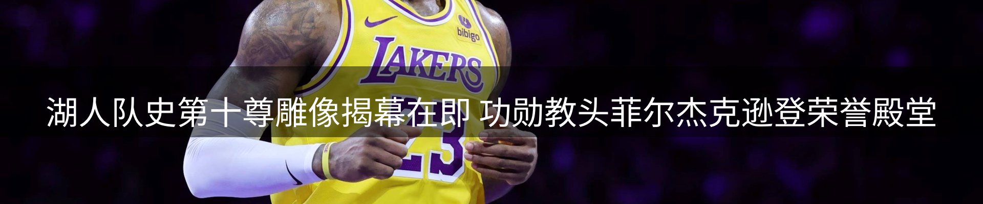 平台视角